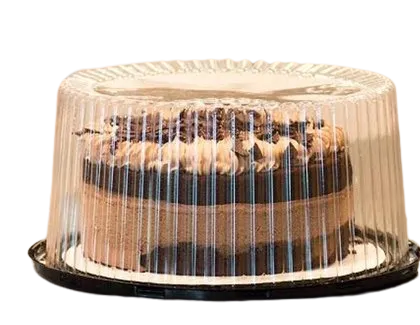 Cake Dome Box